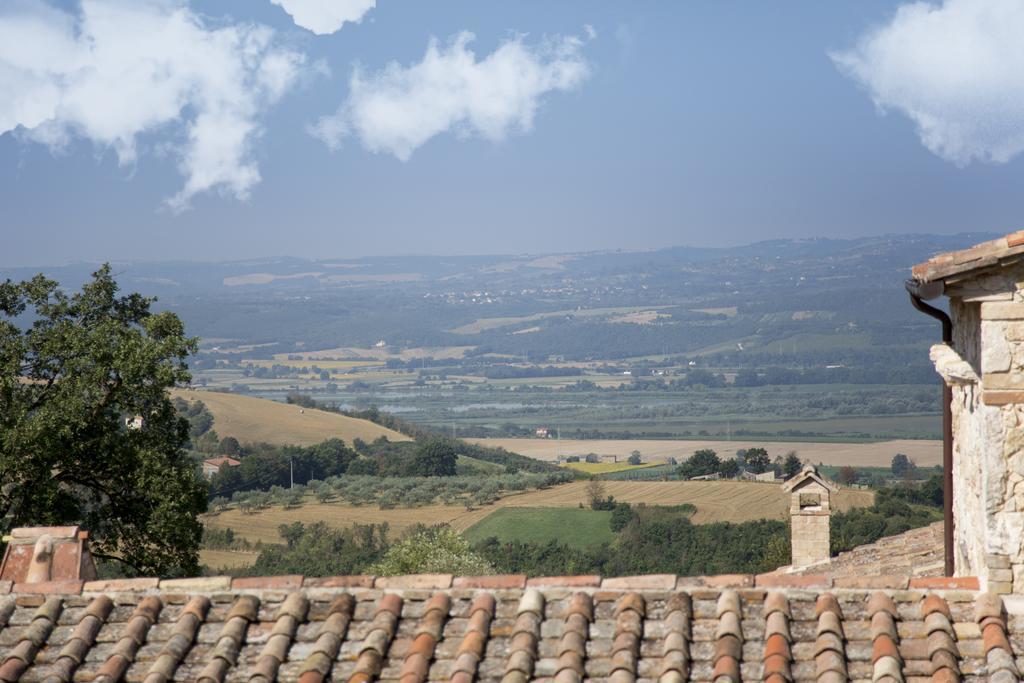 Luxury Villa Colle Dell'Asinello ,Proprietari ,Villa In Esclusiva Near Orvieto Guardea Exteriér fotografie